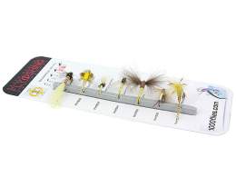 FLY SET - PHY Raspini - by insect families