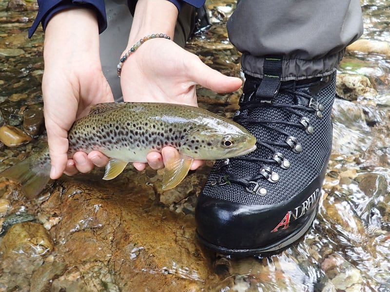 First steps in andrew wading boots - 