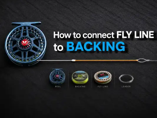 Fly Line to Backing Connections - How do you properly connect backing to a fly line? All knots explained in a simple and easy-to-understand way, including useful tips for loading your fly reel correctly.