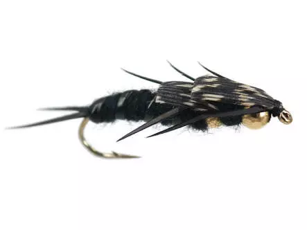 Double BH Black Stonefly