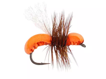 Orange Hi-Viz Foam Ant