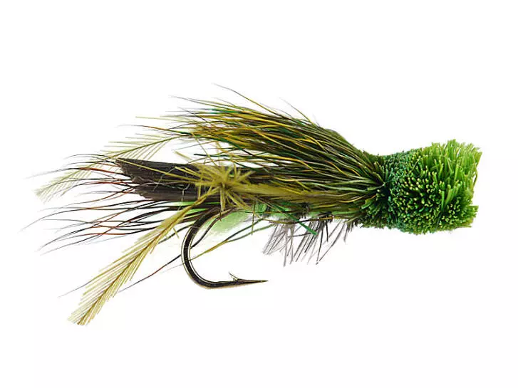 Green Cicada