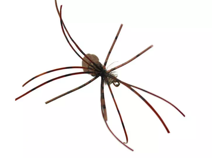 Foam Spider