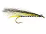 Black Body Trout