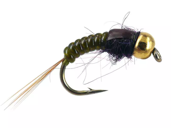 Ales TG Olive Body Glas