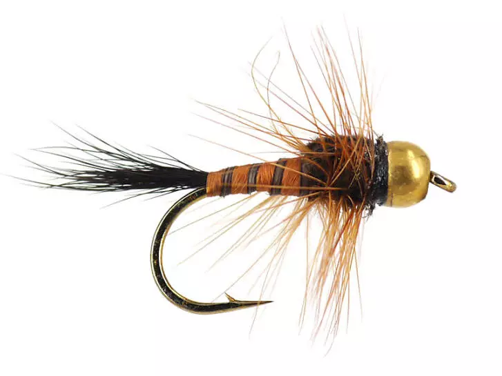 March Brown TG