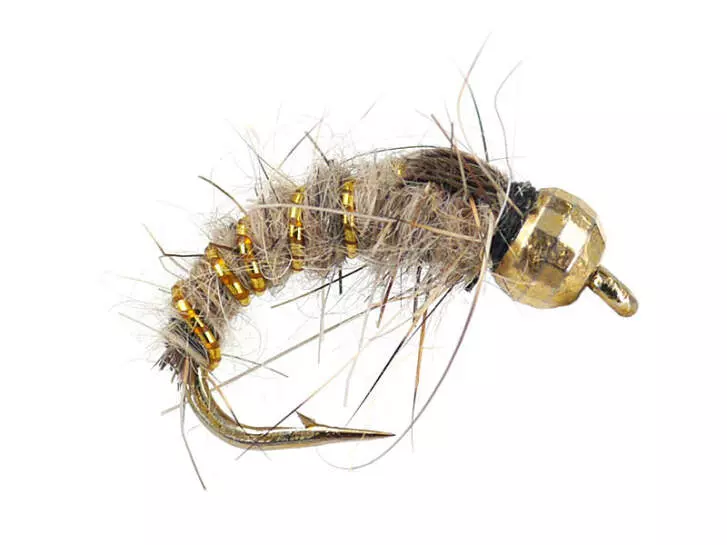 Gold Ribbed Hares Ear TG