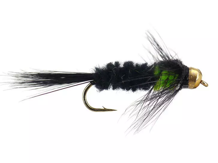 Montana Green TG