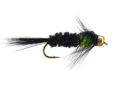 Montana Green TG