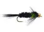 Montana Green TG