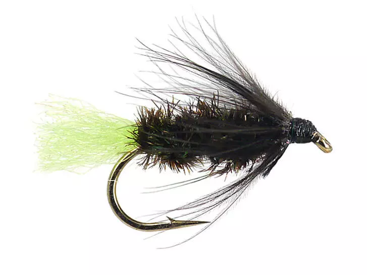 Peacock Spider Green Tag