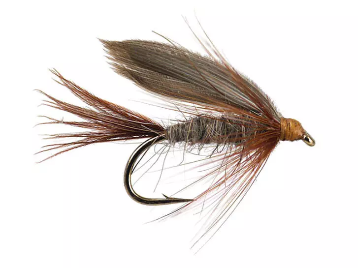March Brown
