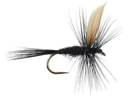 Black Gnat BL 14