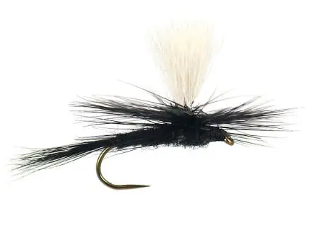 Parachute Black Gnat BL 16