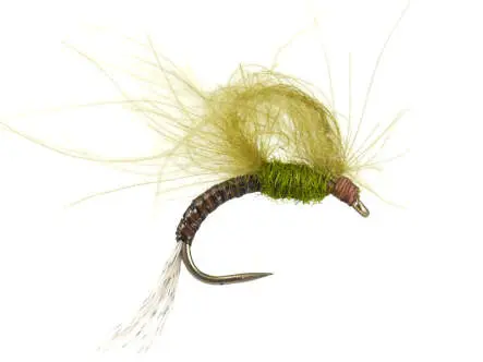 CDC Emerger Olive BL 18