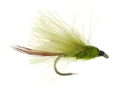 CDC Olive BL 14