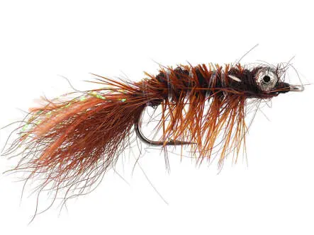 Spawning Shrimp Brown 8