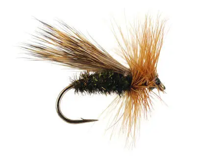 Peacock Caddis 12