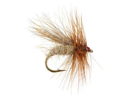 Cinnamon Caddis 14