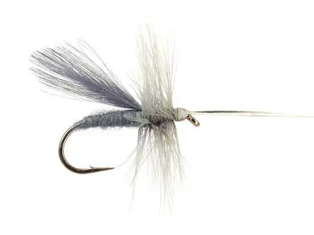 Dun Caddis 12