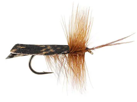 Dark Brown Horned Roof Wing 12