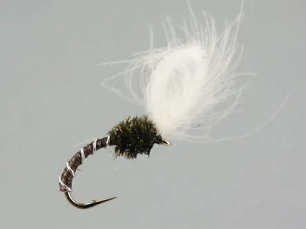 CDC Quill Midge 16