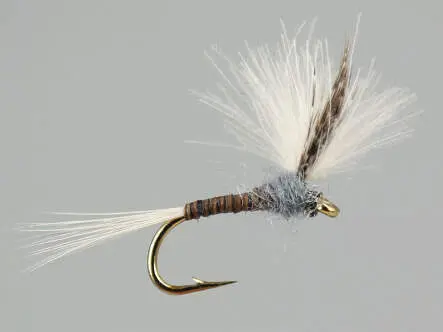 CDC Quill Gordon 16