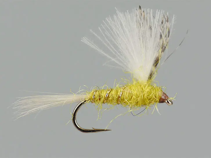CDC Yellow Dun 12
