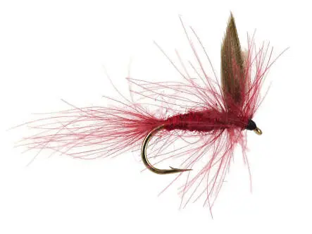CDC Claret Winged Dry 14