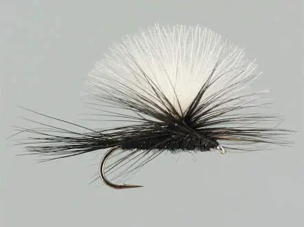 CDC Parachute Black 12