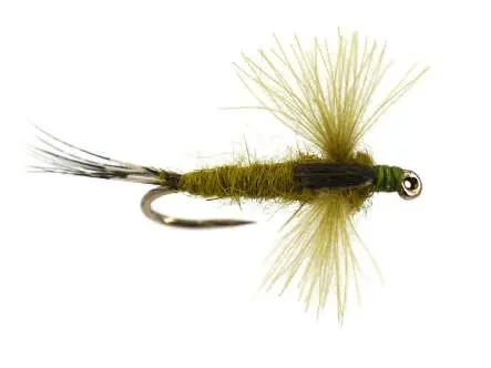 CDC Spent Olive 14
