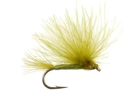 CDC Splitwing Olive 14