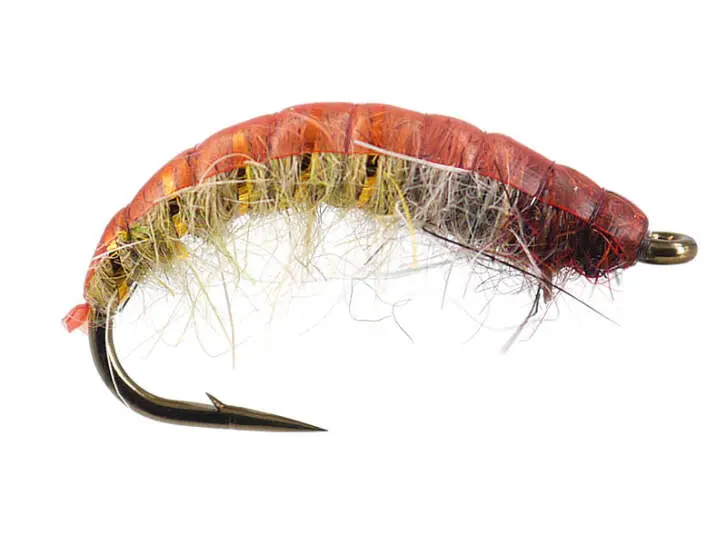 Czech Nymph Superb Terra 12
