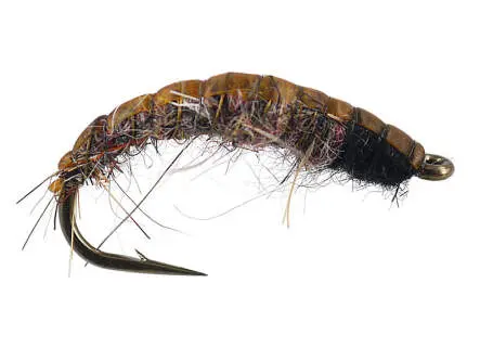 Dark Natural Czech Nymph 12