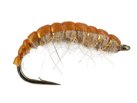 Natural Czech Nymph 8