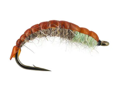 Peters Favourite Czech Nymph 12