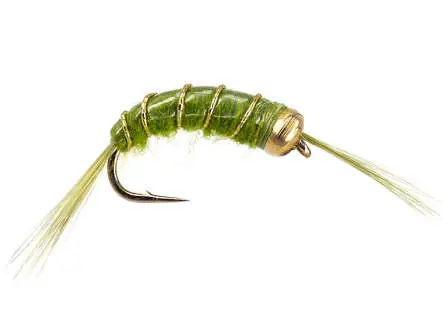 Scud Olive 12