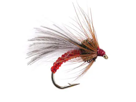 Red Grayling Dream 18