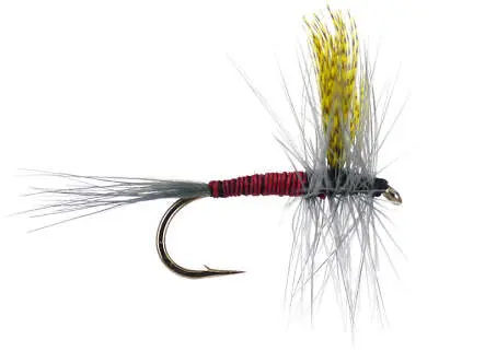 Red Quill 12