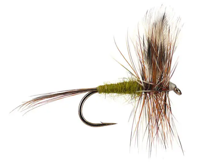 Adams Olive 14