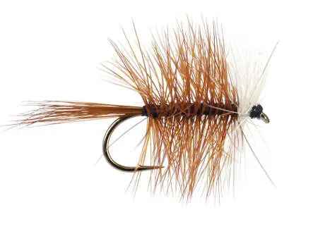 Brown Bivisible 12