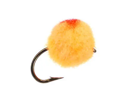 Egg Orange 8