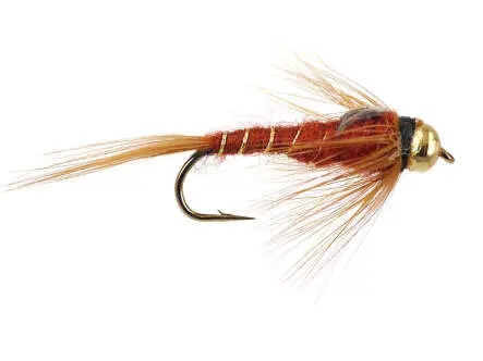 Damsel - Brown 12