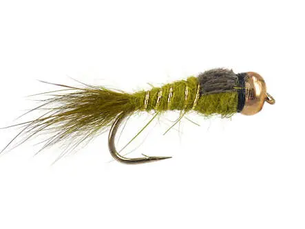 BH Olive Hares Eear 12