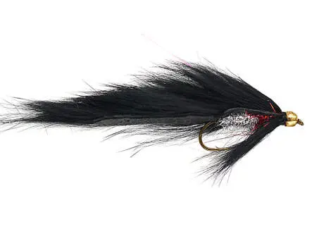 Bright Beaded Zonker Black 8