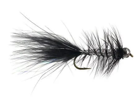 W.B. Bright Black Competition 10