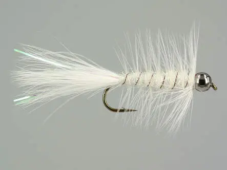 W.B. Bright White Competition 10