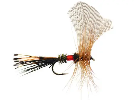 Royal Fan Wing Mayfly 10