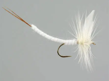 White Extended Body Mayfly 10