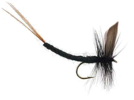 Black Gnat Extended Body Mayfly 10